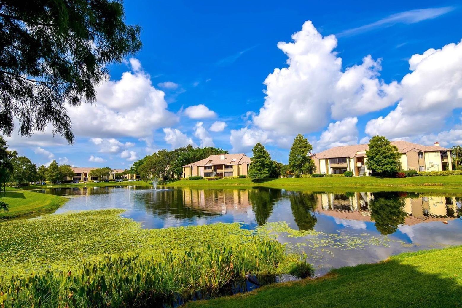 10265 GANDY BLVD N #707, ST PETERSBURG, FL, 33702