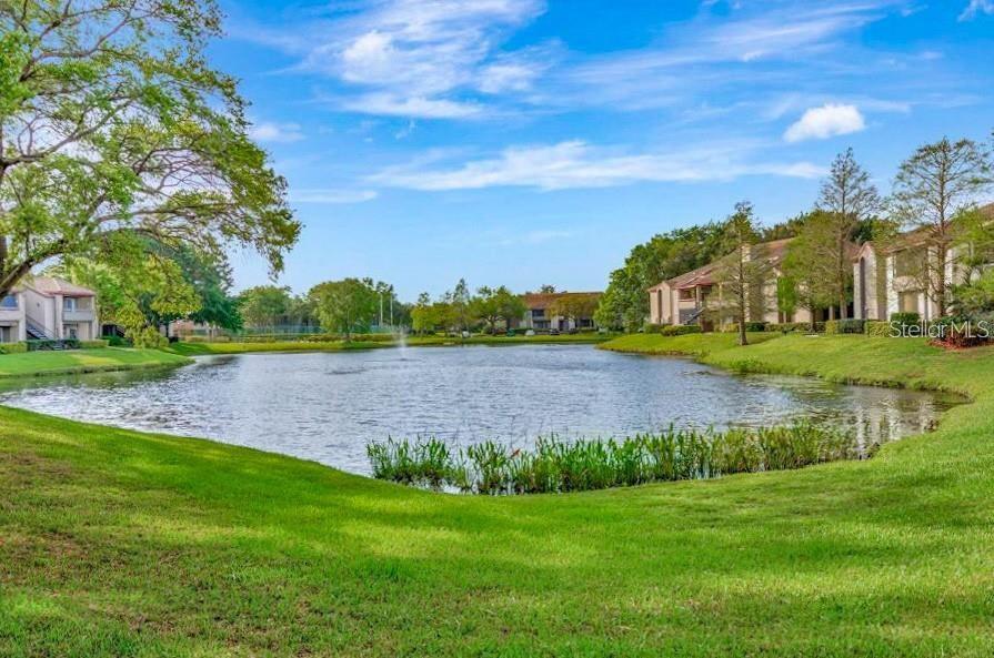 10265 GANDY BLVD N #707, ST PETERSBURG, FL, 33702