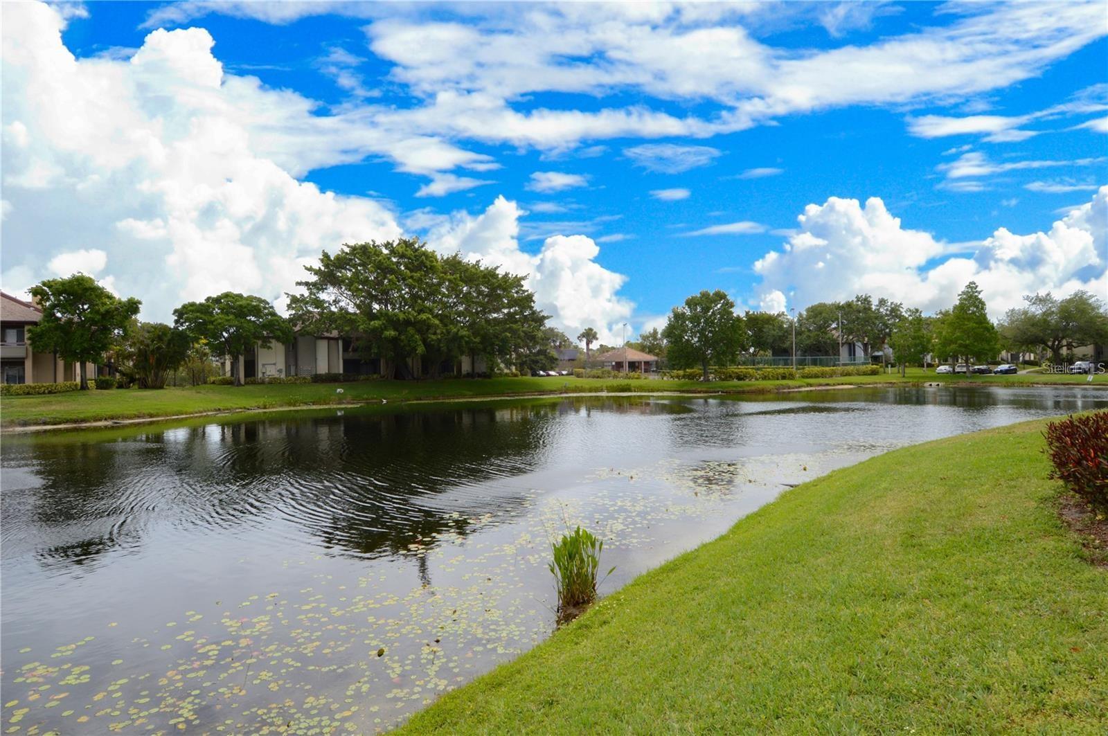 10265 GANDY BLVD N #707, ST PETERSBURG, FL, 33702