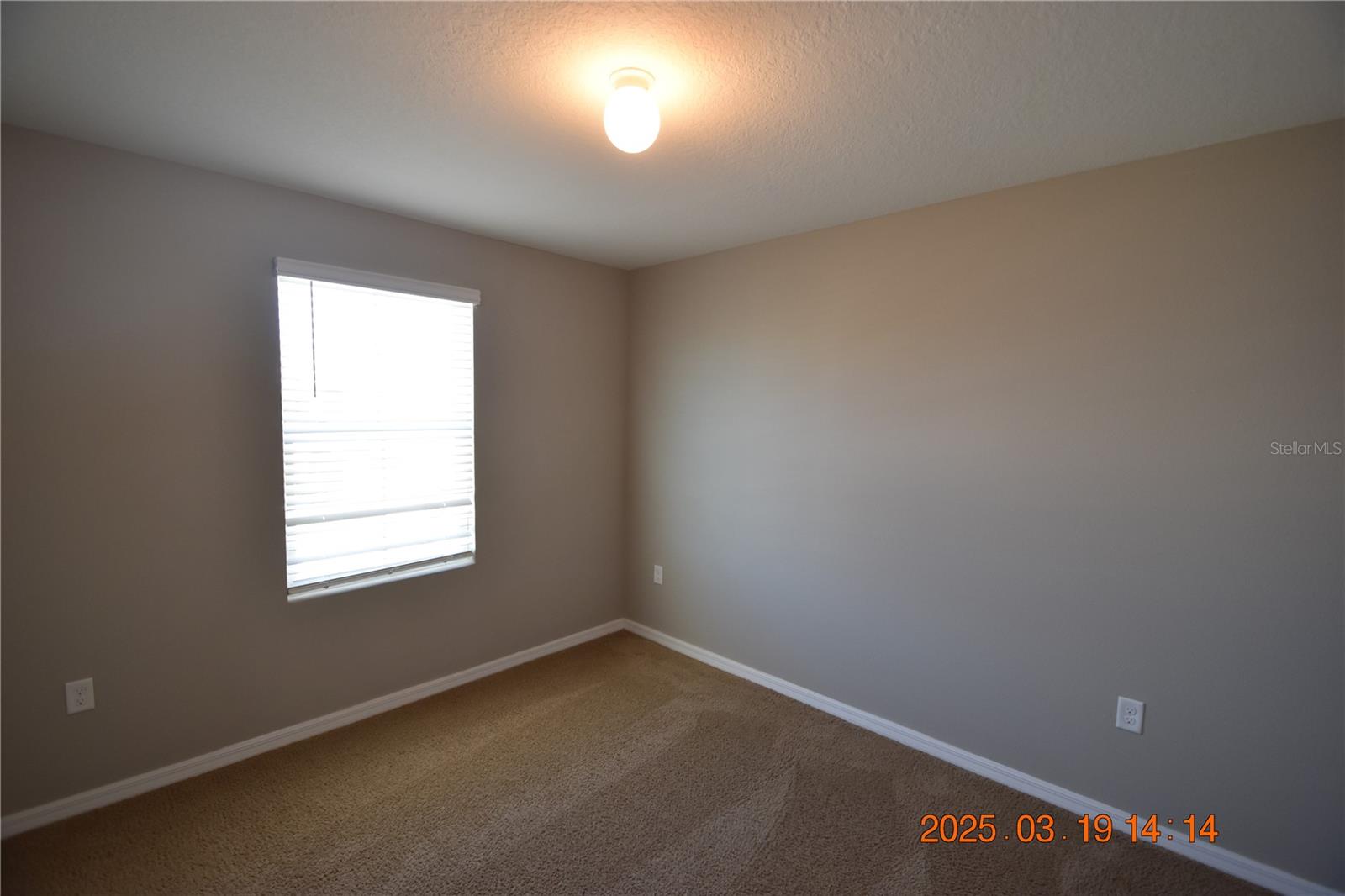 10233 MANGROVE WELL RD, SUN CITY CENTER, FL, 33573