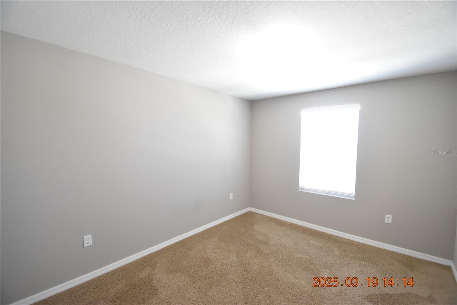 10233 MANGROVE WELL RD, SUN CITY CENTER, FL, 33573
