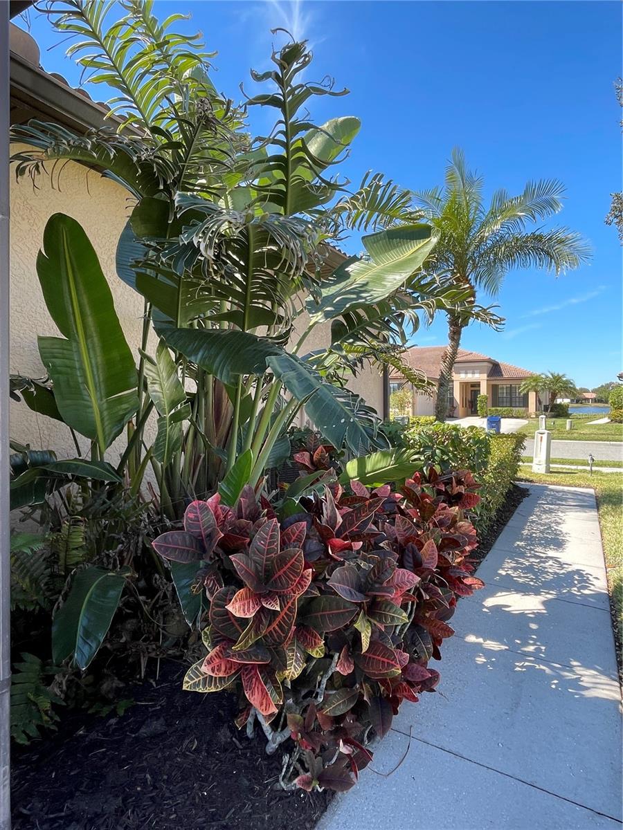 11331 BERTOLINI DR, VENICE, FL, 34292