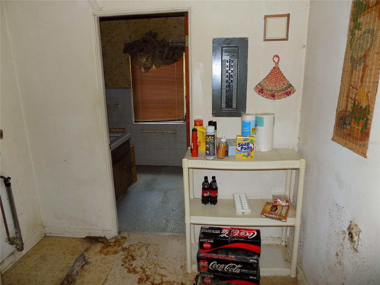 472 SHELDON PL, CLERMONT, FL, 34711