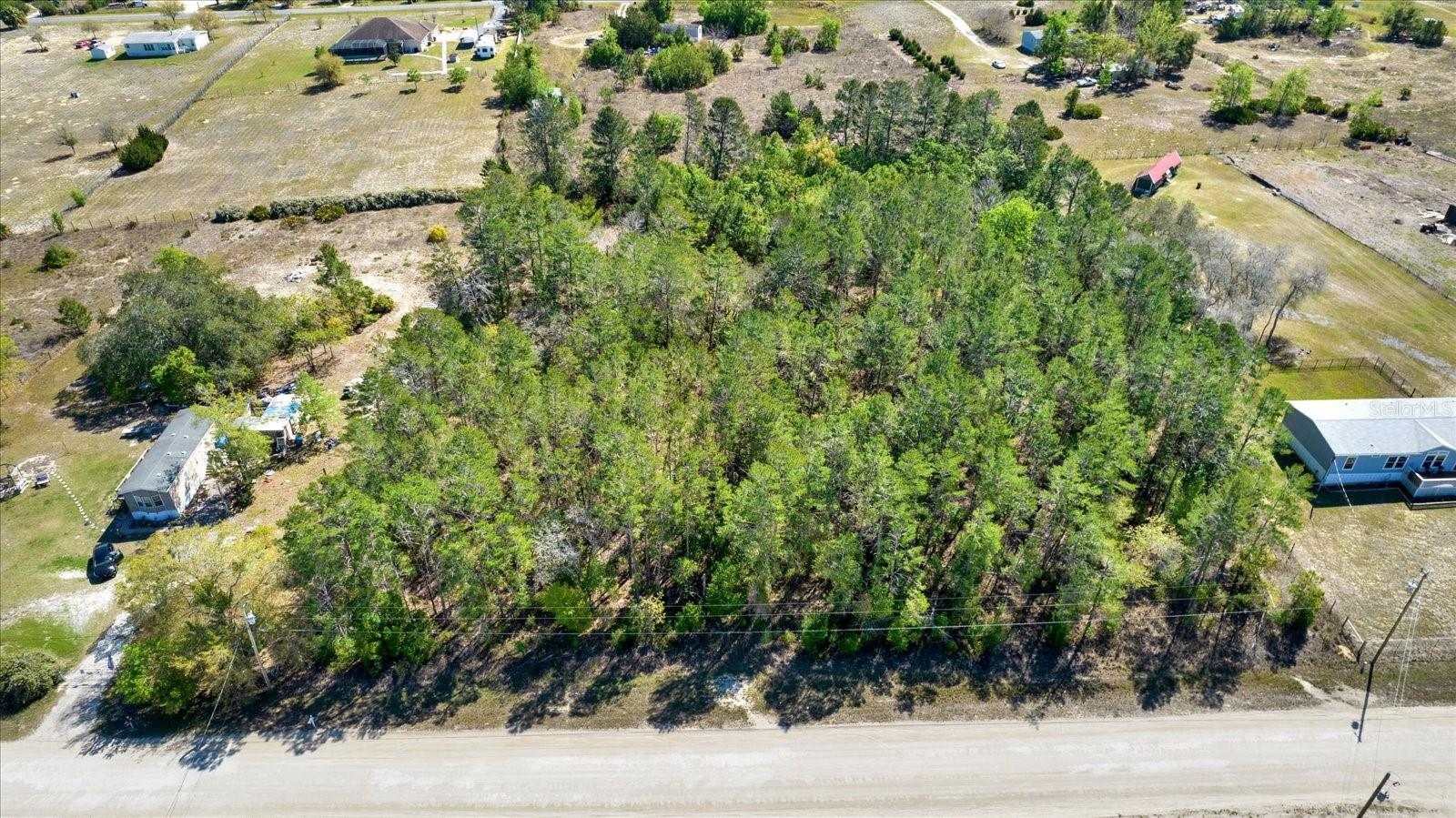 12010 FULMAR RD, WEEKI WACHEE, FL, 34614