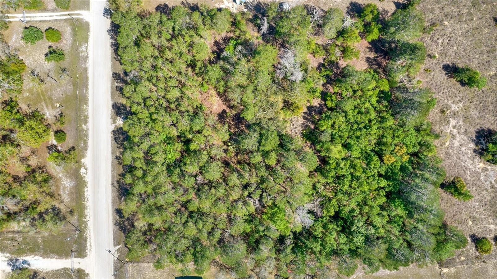 12010 FULMAR RD, WEEKI WACHEE, FL, 34614
