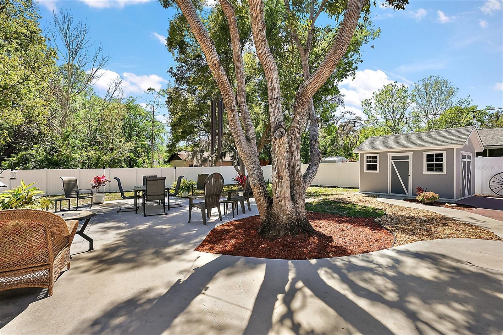 3860 BRANCH AVE, MOUNT DORA, FL, 32757