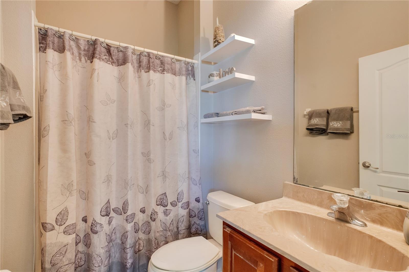 10027 HART BRANCH CIR, ORLANDO, FL, 32832