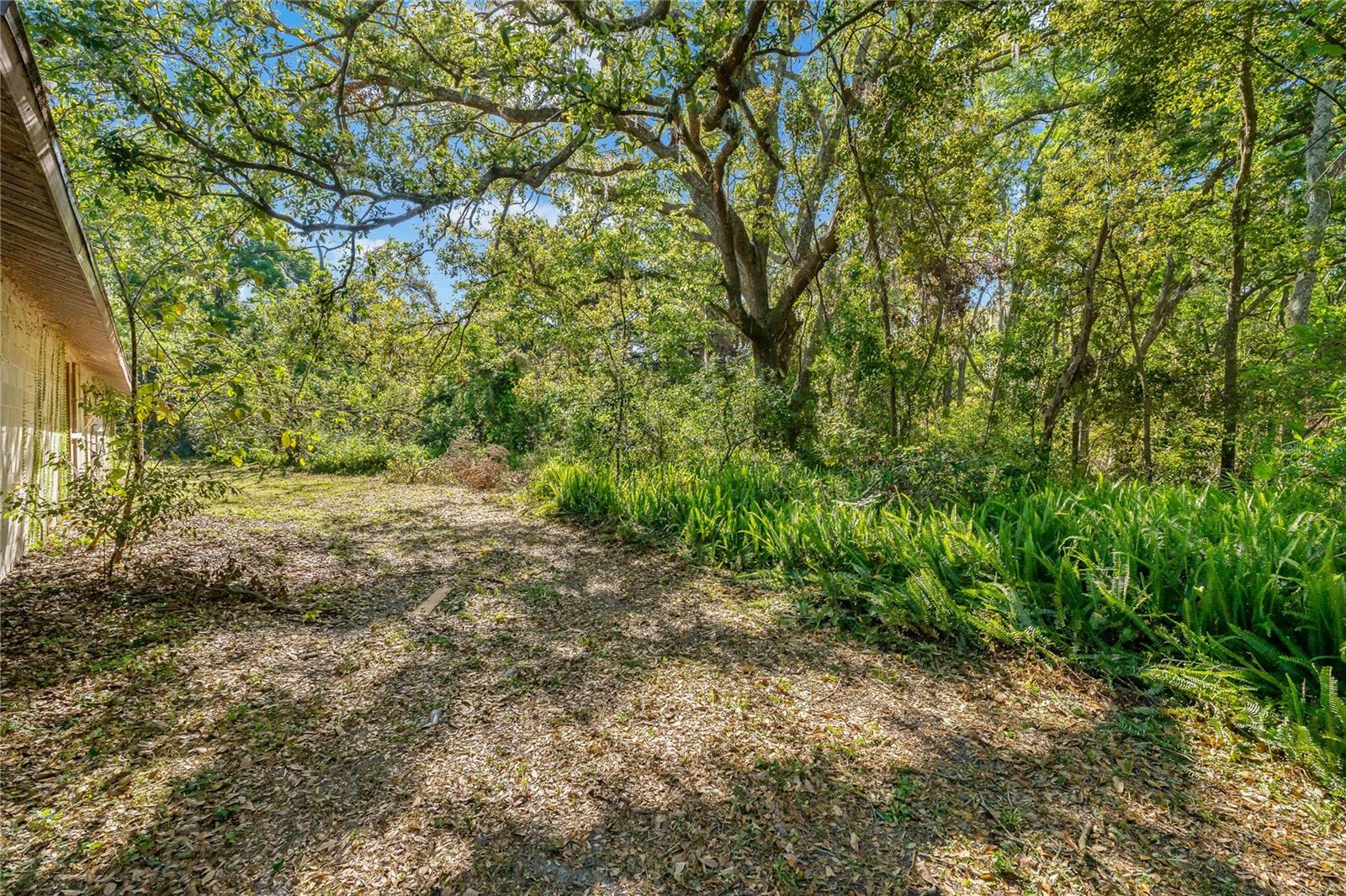 11423 ENNIS SHEARD RD, SEFFNER, FL, 33584