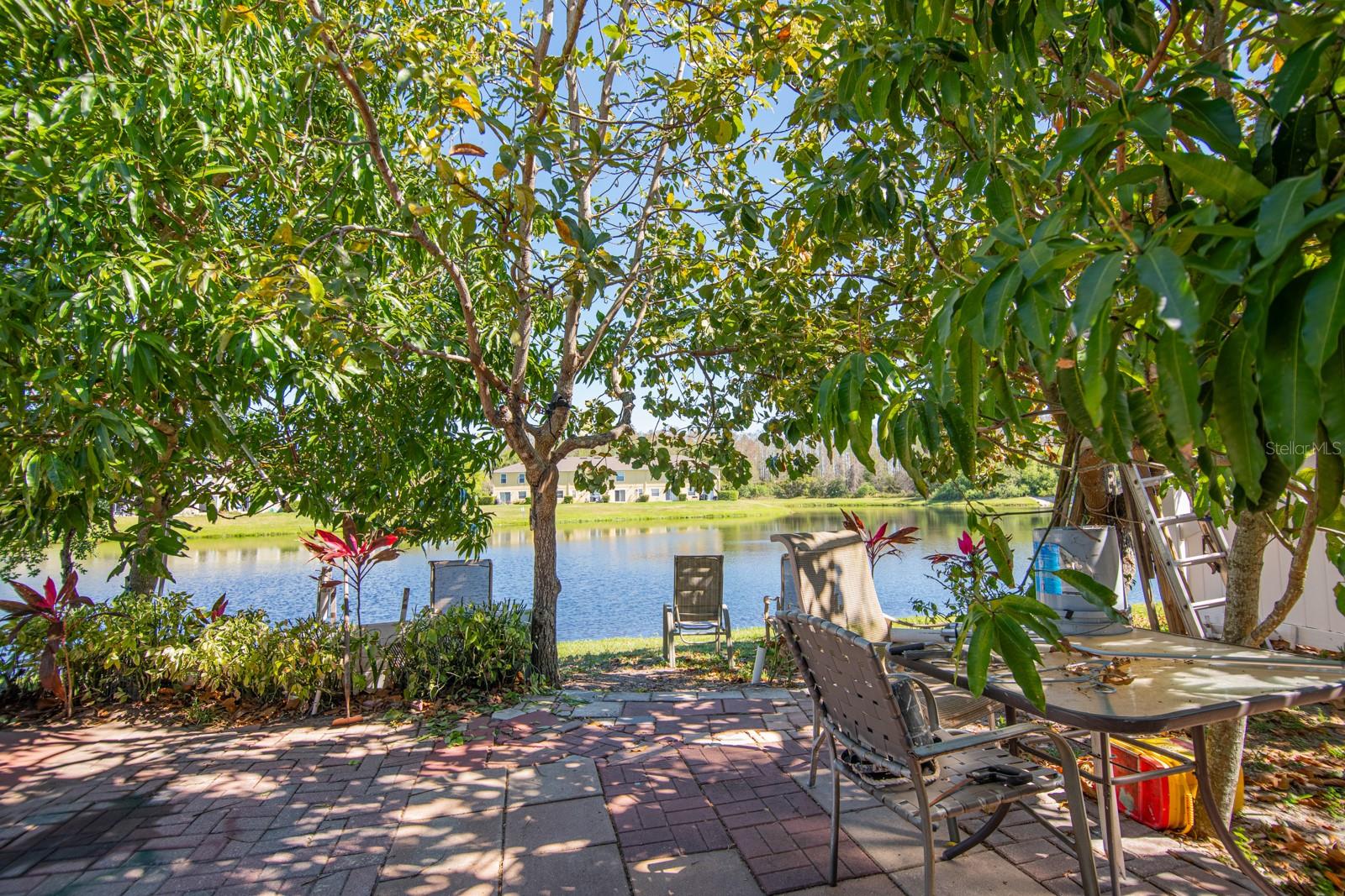 543 FLOWER FIELDS LN, ORLANDO, FL, 32824