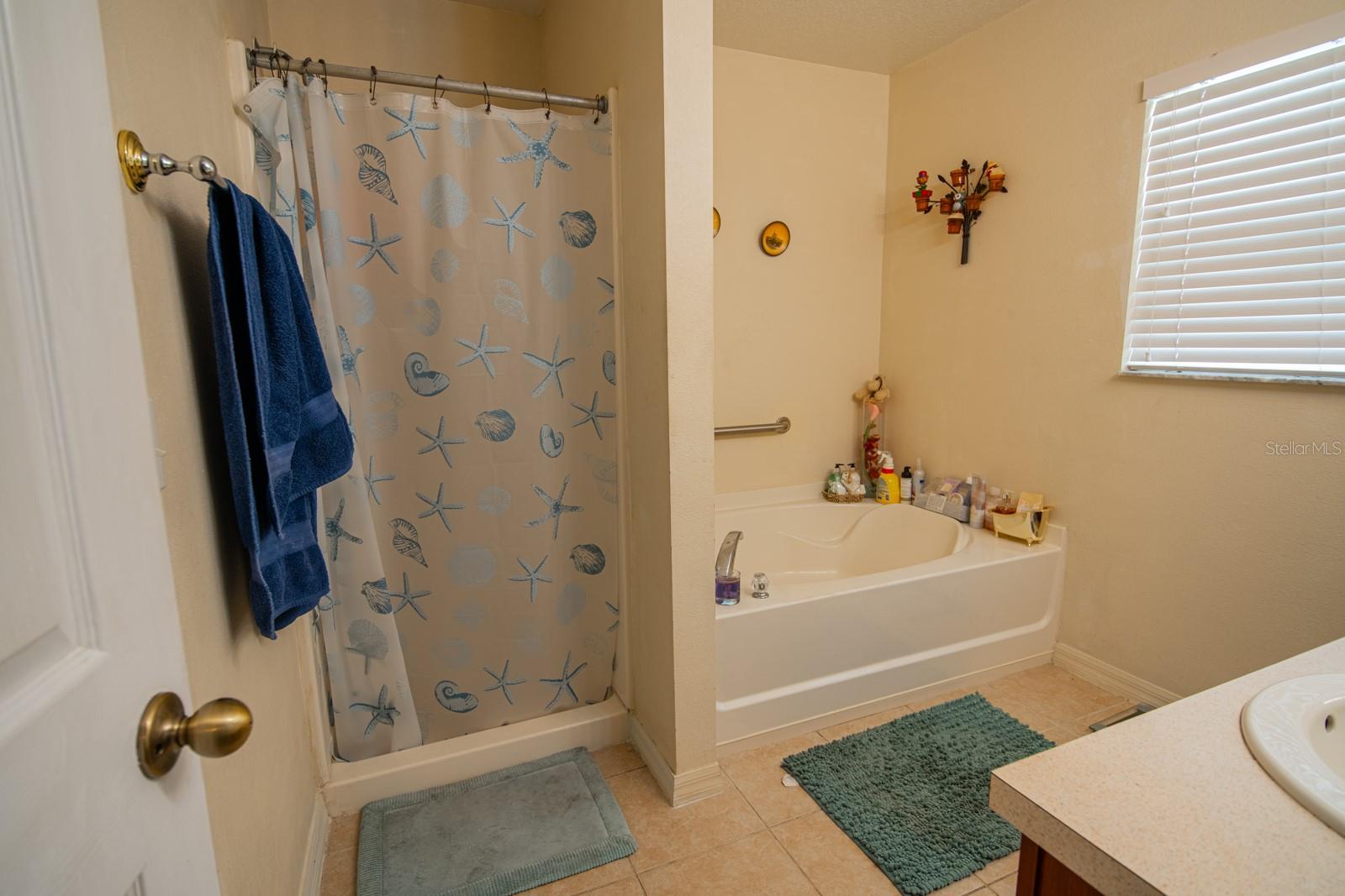 543 FLOWER FIELDS LN, ORLANDO, FL, 32824