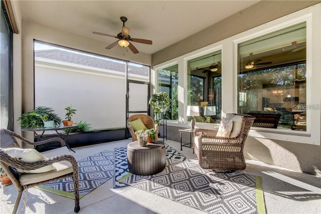 11831 FROST ASTER DR, RIVERVIEW, FL, 33579
