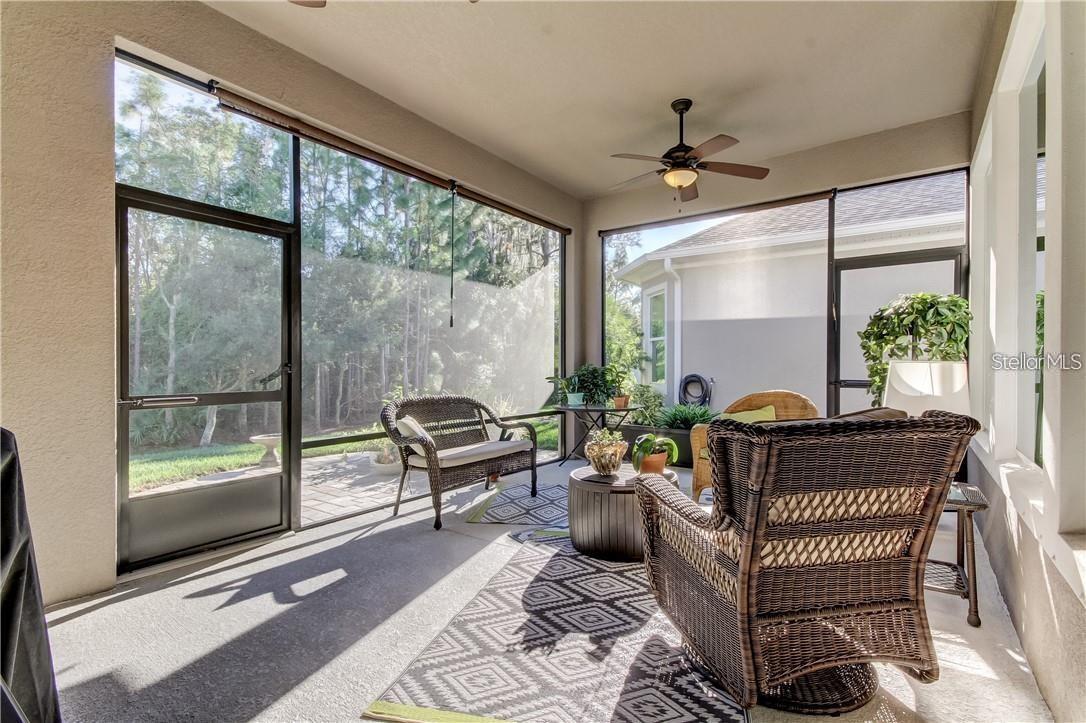 11831 FROST ASTER DR, RIVERVIEW, FL, 33579