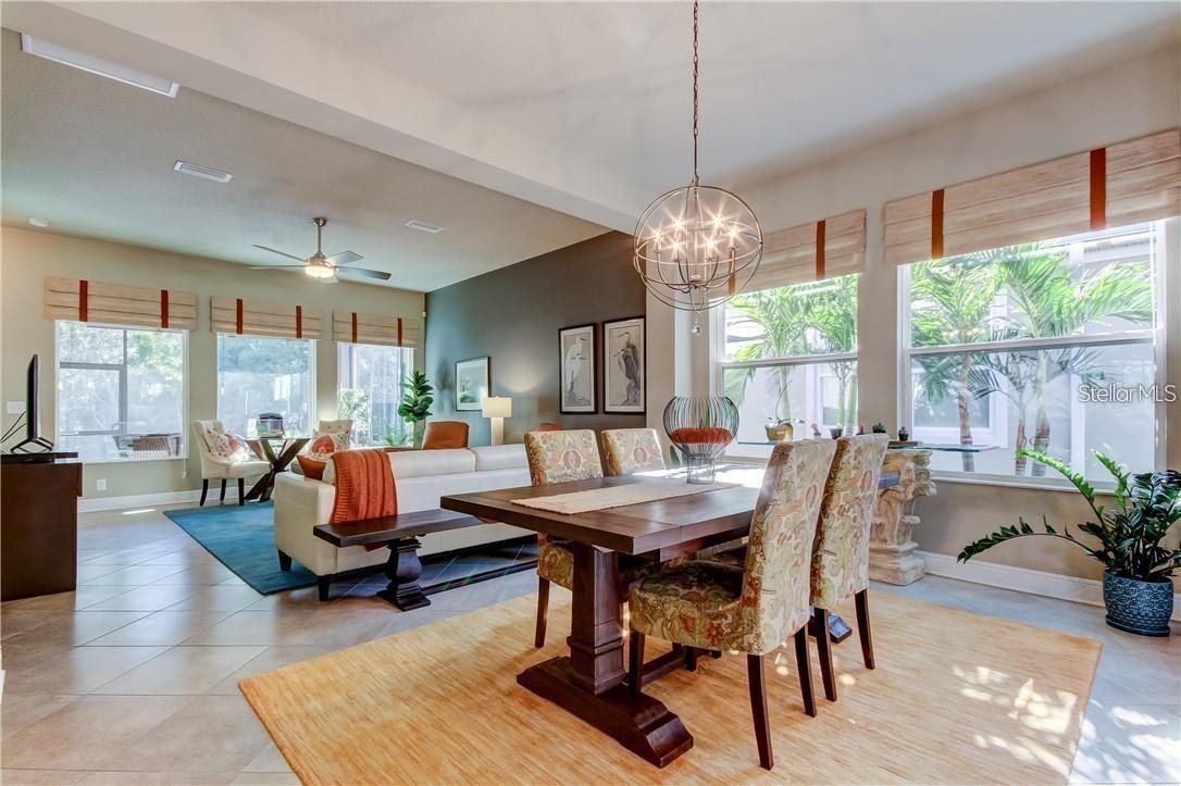 11831 FROST ASTER DR, RIVERVIEW, FL, 33579
