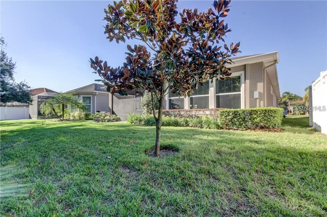 11831 FROST ASTER DR, RIVERVIEW, FL, 33579