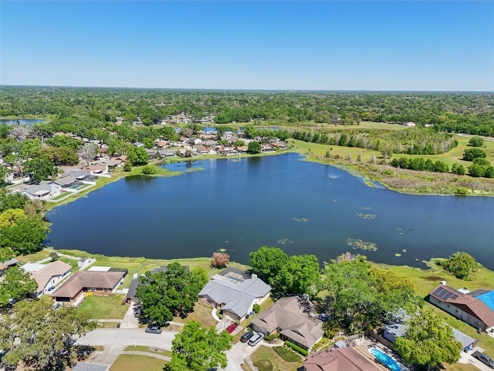 505 TIMBER POND DR, BRANDON, FL, 33510