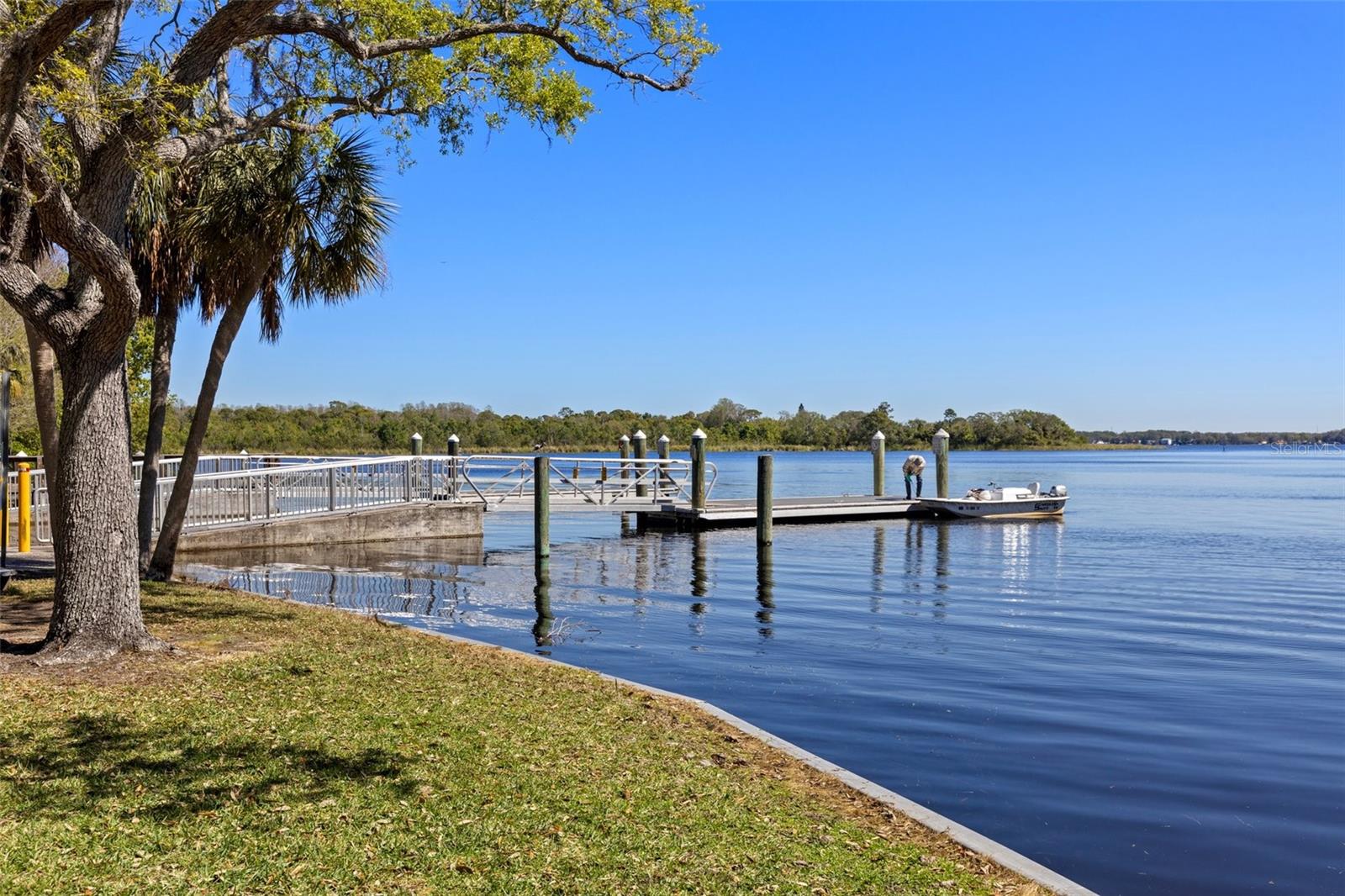 14 CYPRESS DR, PALM HARBOR, FL, 34684