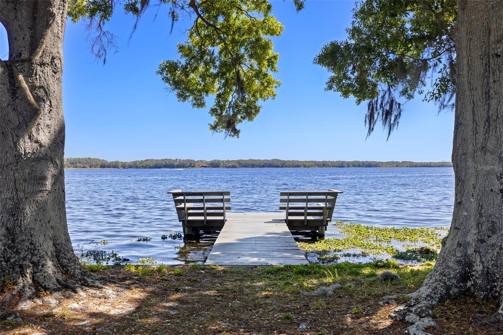 14 CYPRESS DR, PALM HARBOR, FL, 34684