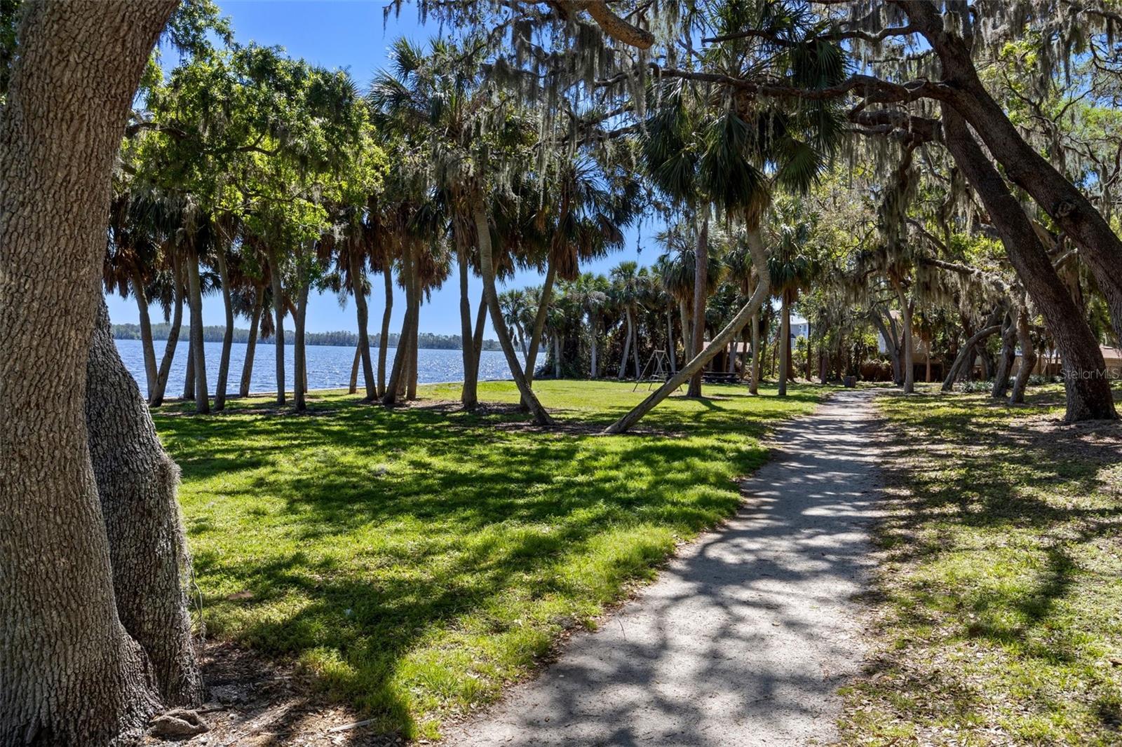 14 CYPRESS DR, PALM HARBOR, FL, 34684