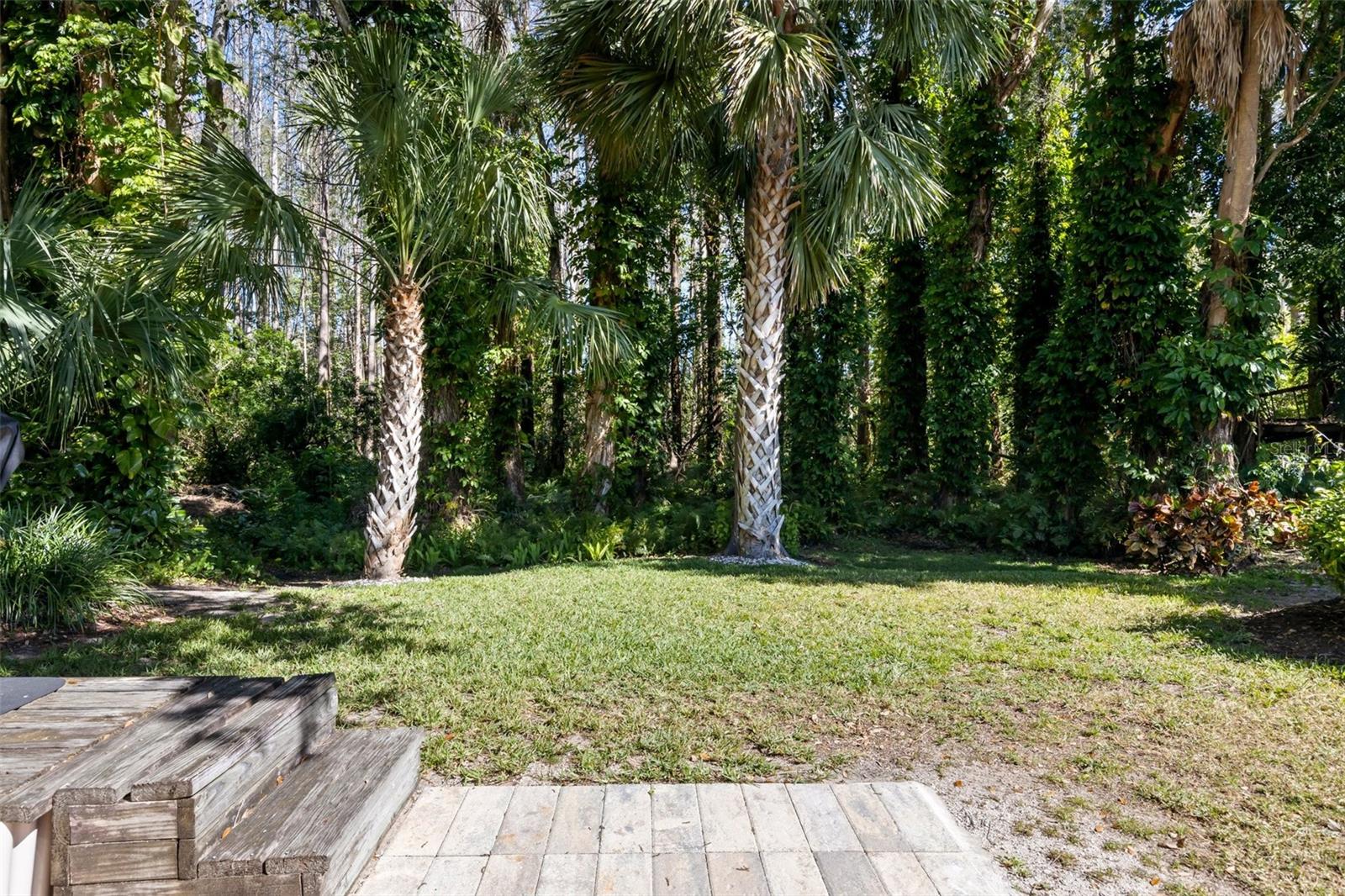 14 CYPRESS DR, PALM HARBOR, FL, 34684