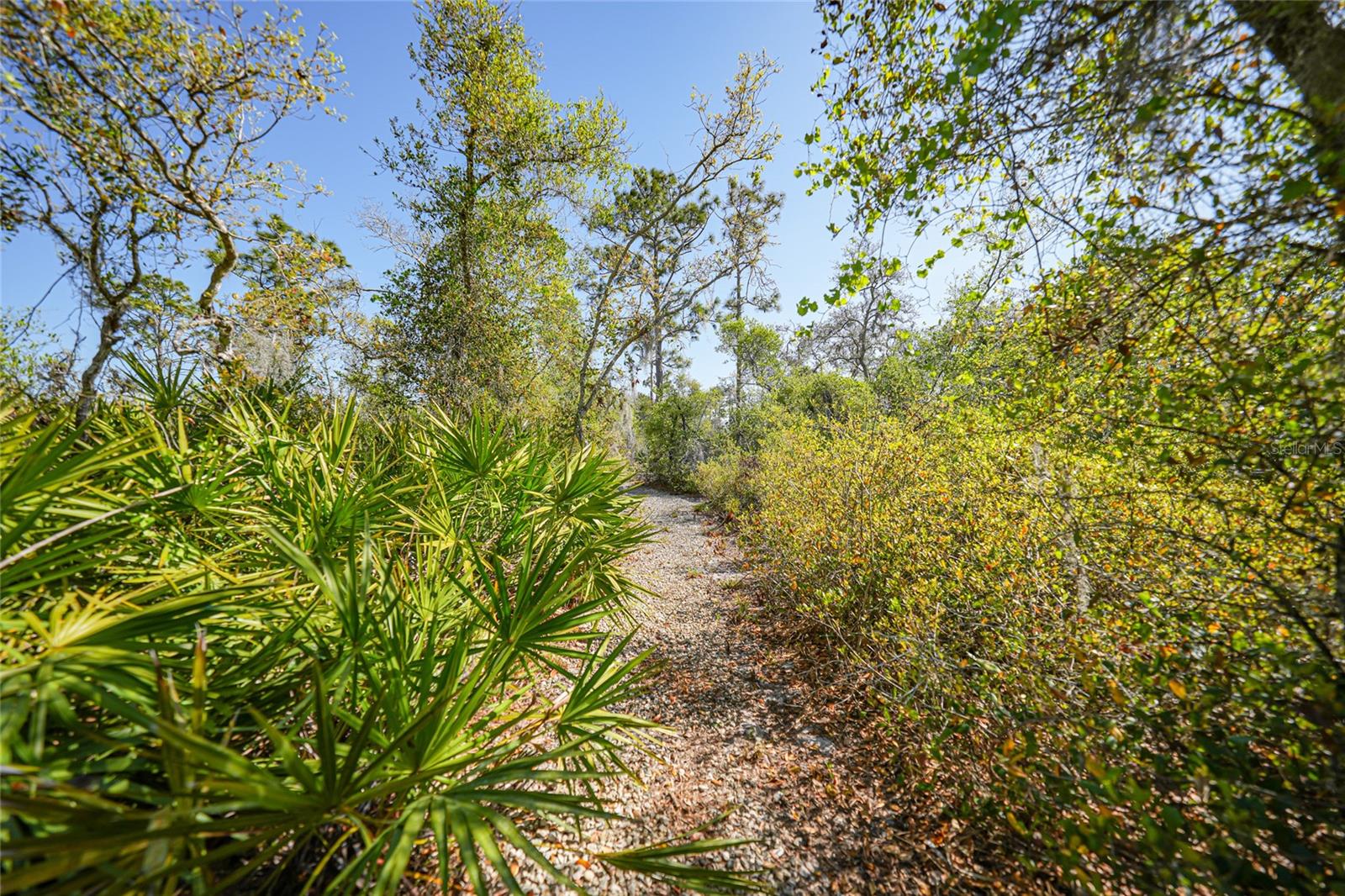 16180 FOREST GLEN CT, PUNTA GORDA, FL, 33982