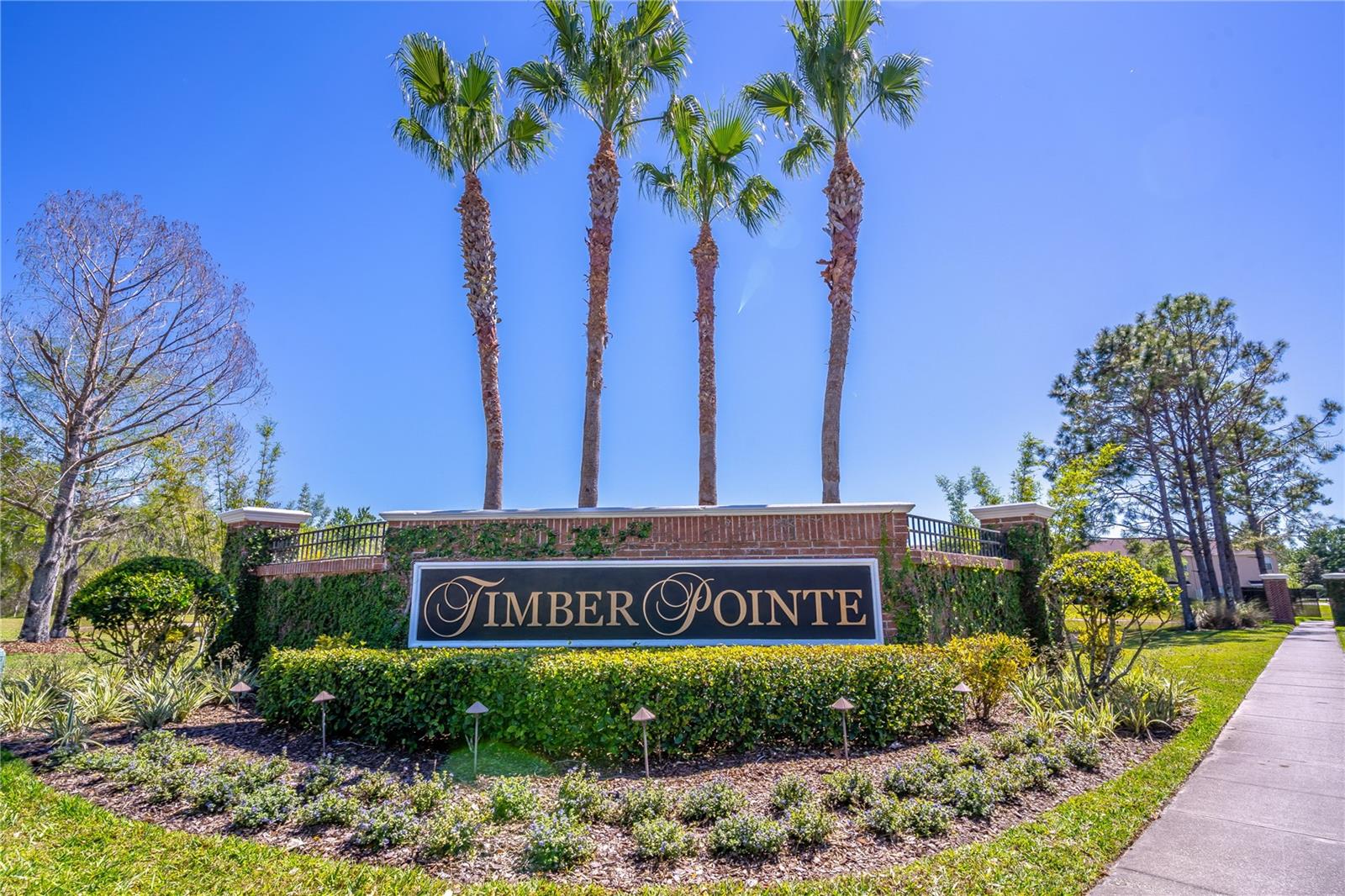16241 OLD ASH LOOP, ORLANDO, FL, 32828