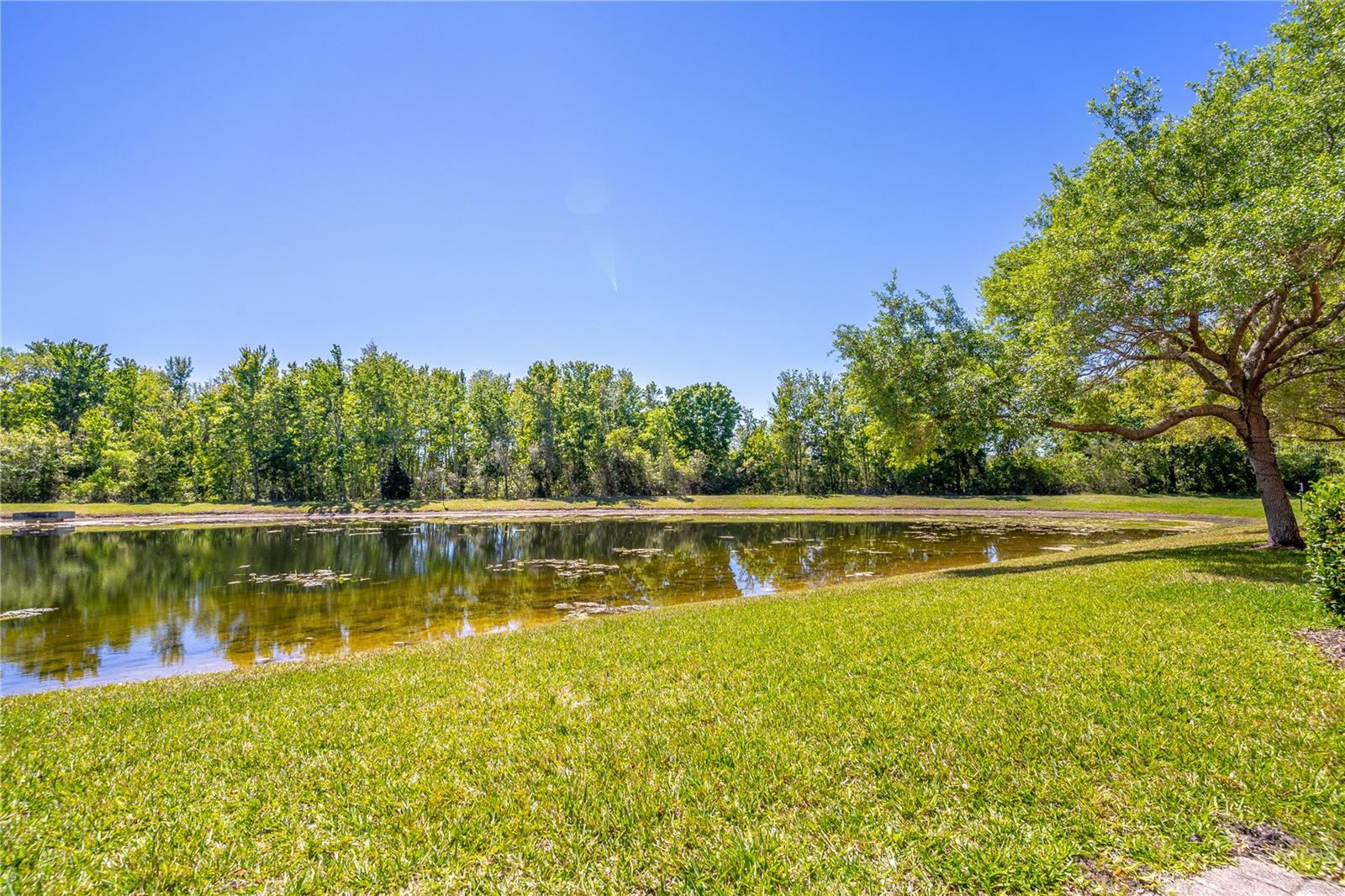 16241 OLD ASH LOOP, ORLANDO, FL, 32828