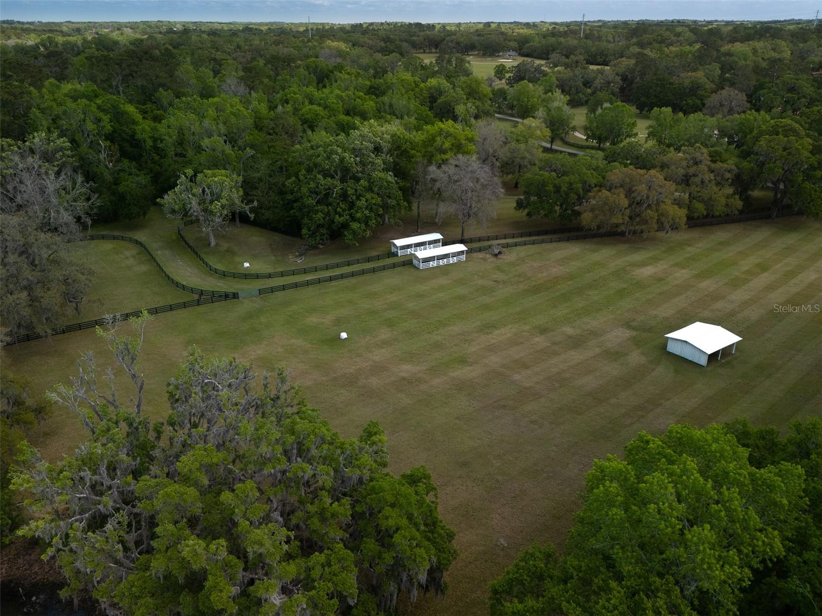 8393 NW 110TH ST, REDDICK, FL, 32686