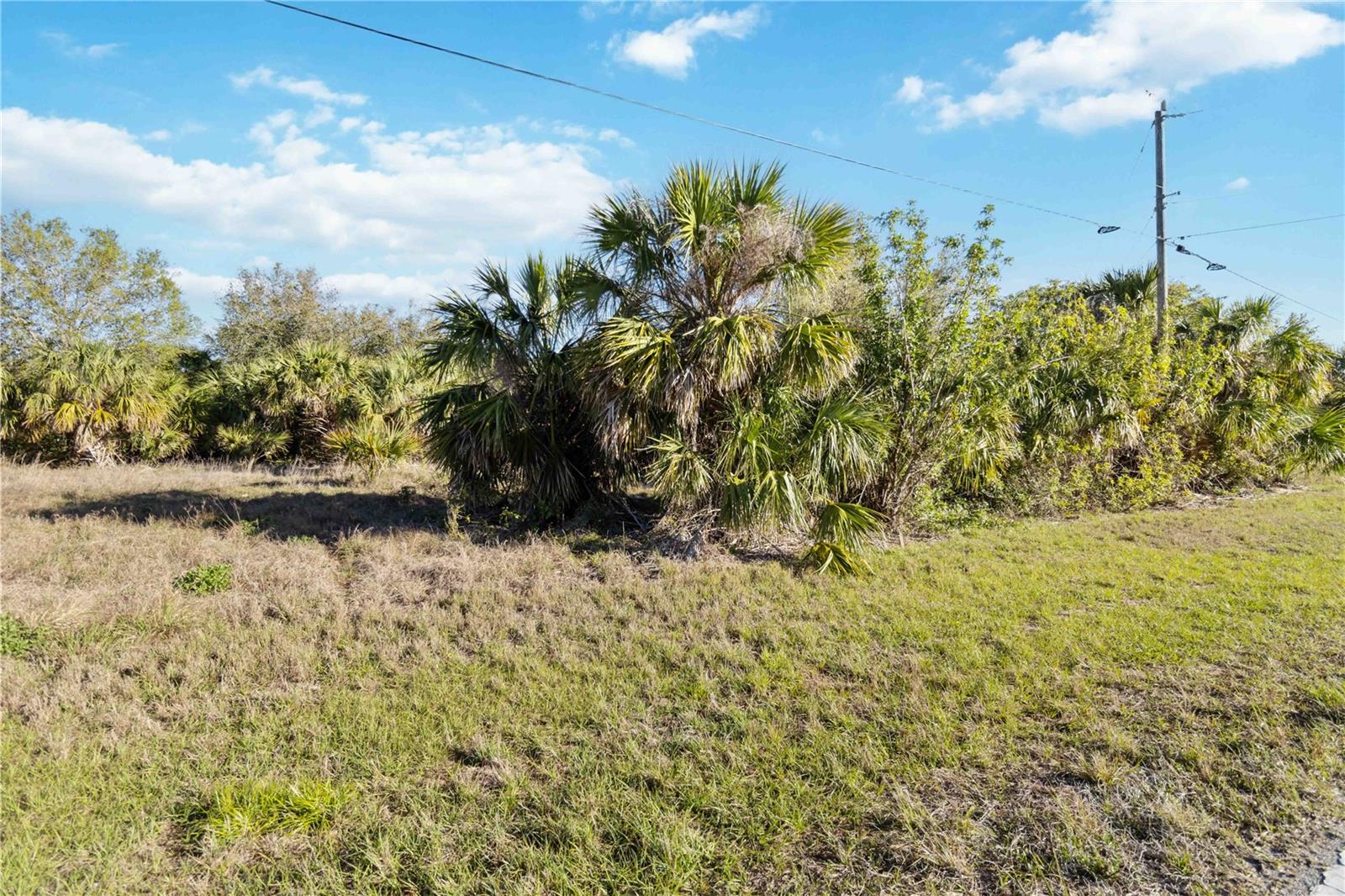 145 THERESA BLVD, PORT CHARLOTTE, FL, 33954