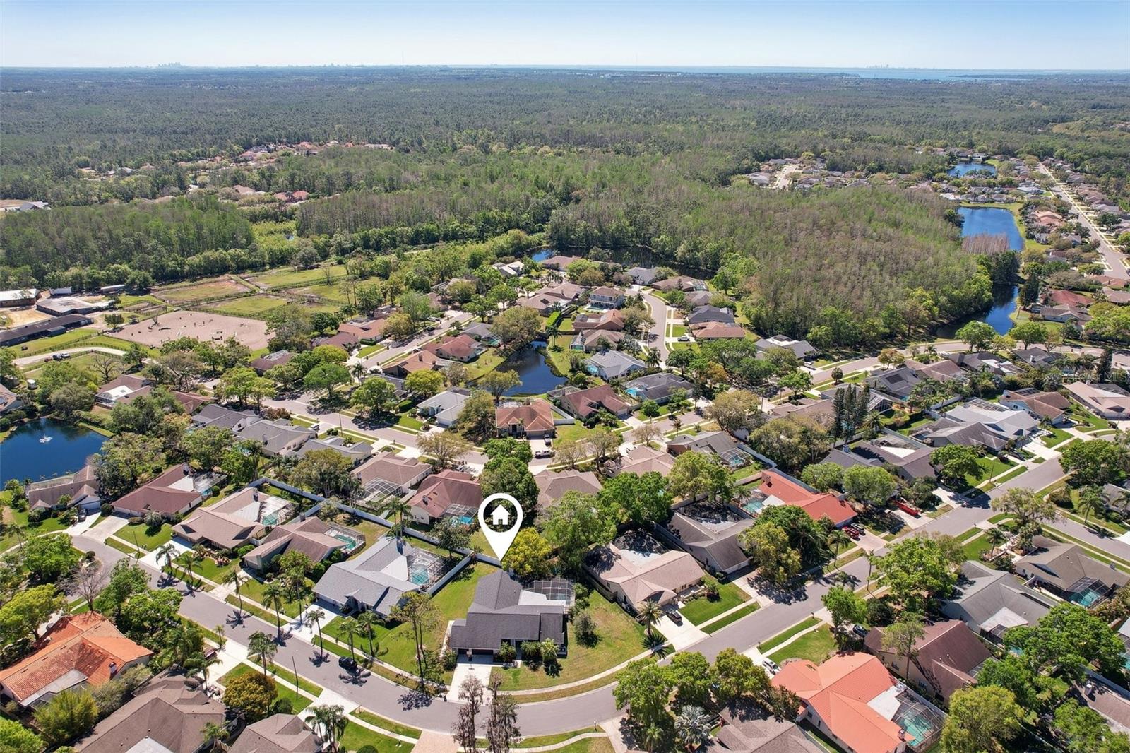 3994 BELMOOR DR, PALM HARBOR, FL, 34685