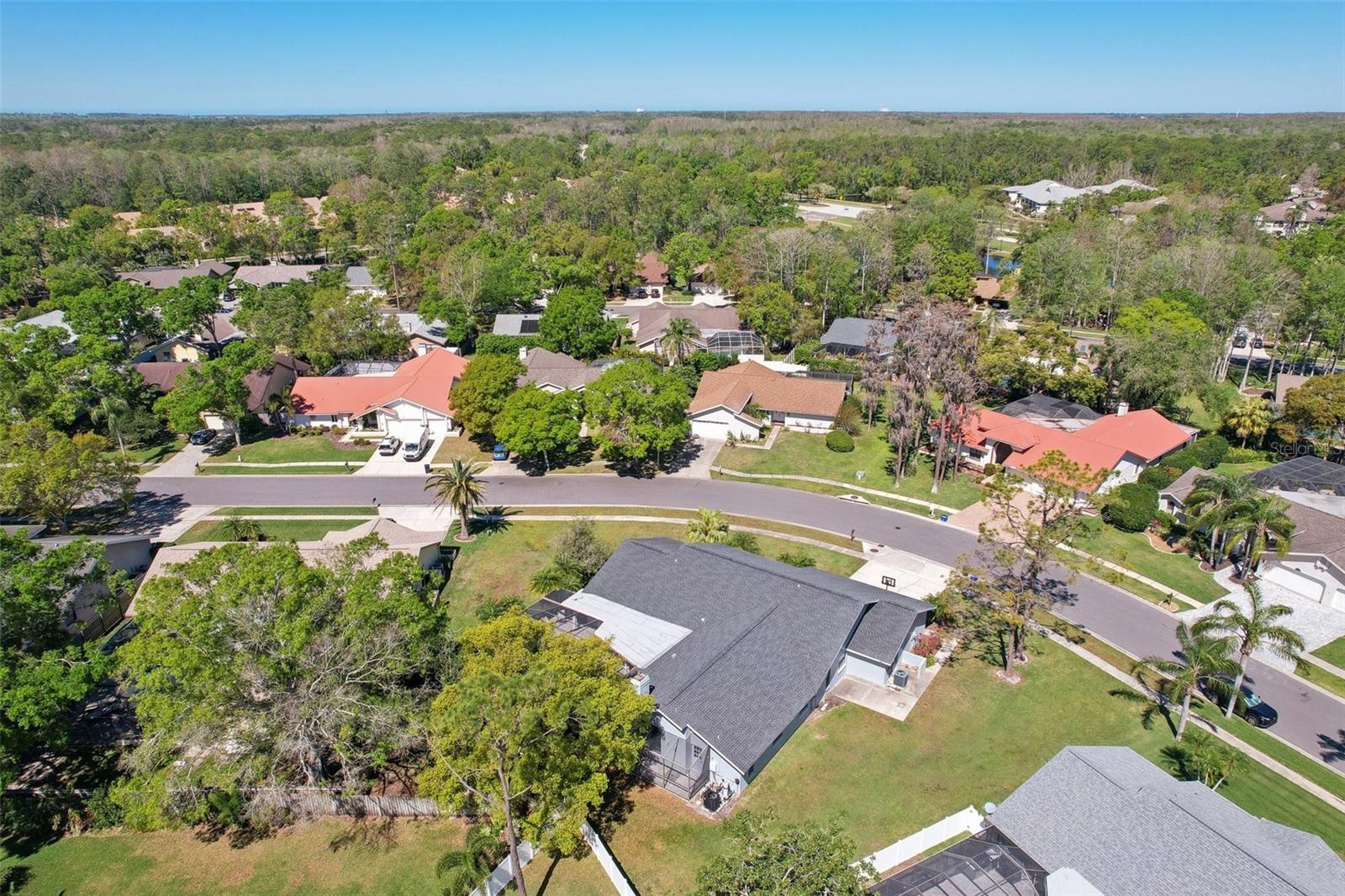 3994 BELMOOR DR, PALM HARBOR, FL, 34685