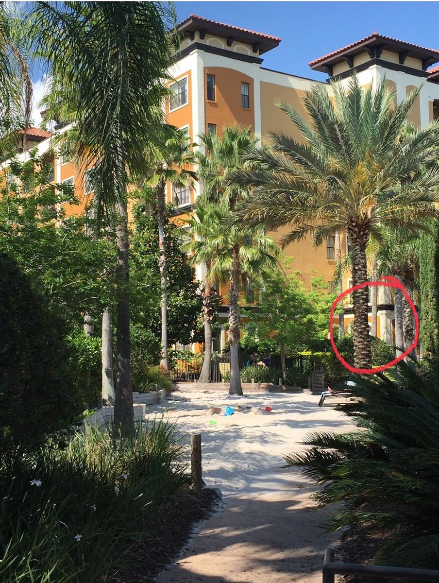12544 FLORIDAYS RESORT DR #103B, ORLANDO, FL, 32821