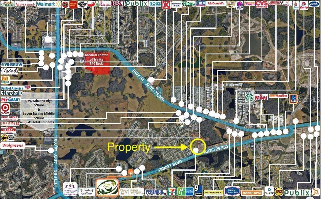 10925 TRINITY BLVD, NEW PORT RICHEY, FL, 34655