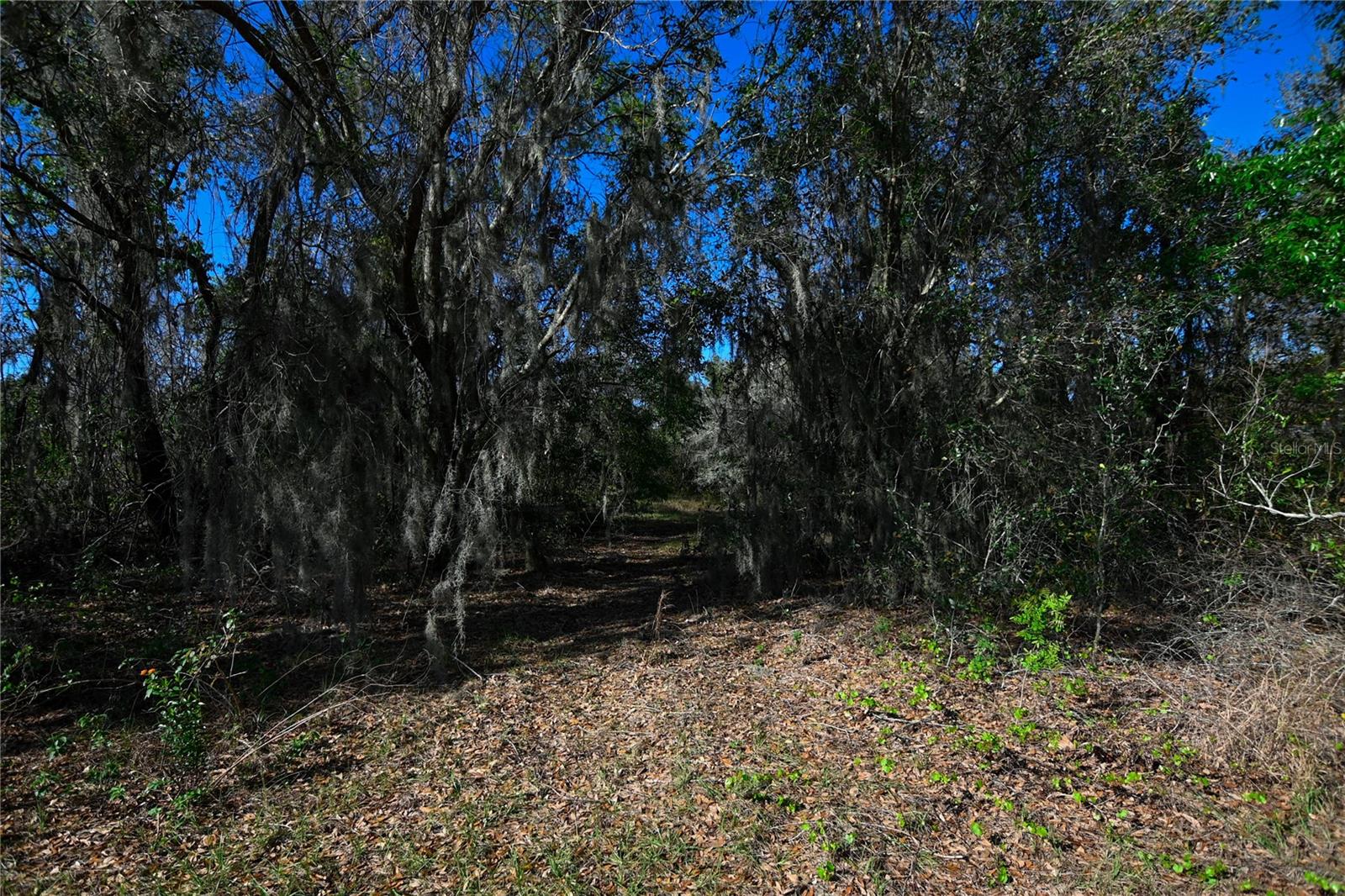 PABLO ISLAND ROAD, GROVELAND, FL, 34736