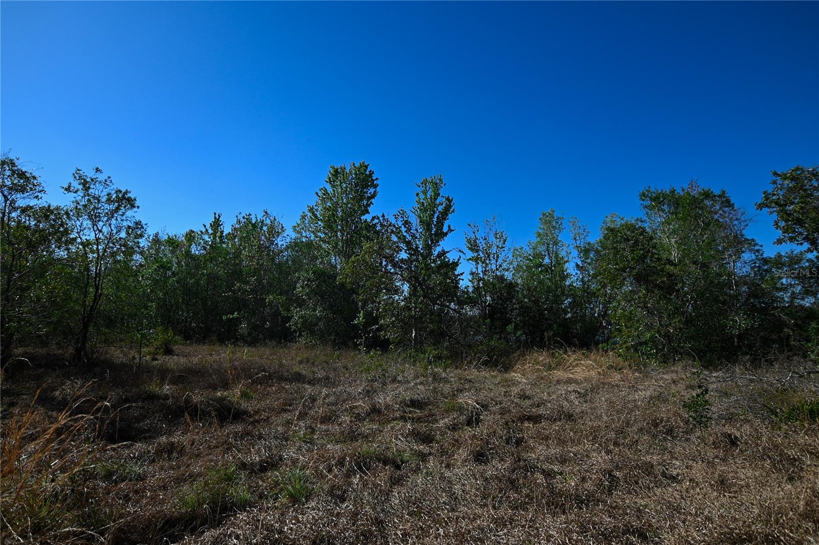 PABLO ISLAND ROAD, GROVELAND, FL, 34736
