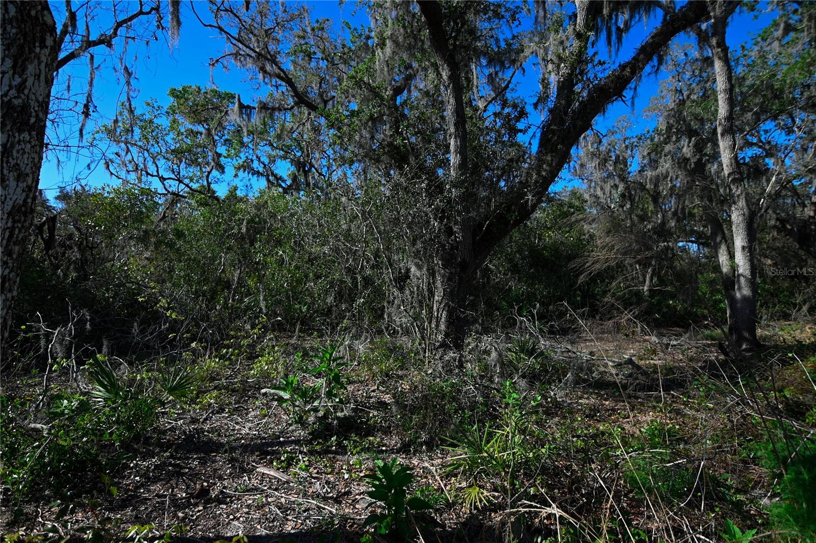 PABLO ISLAND ROAD, GROVELAND, FL, 34736