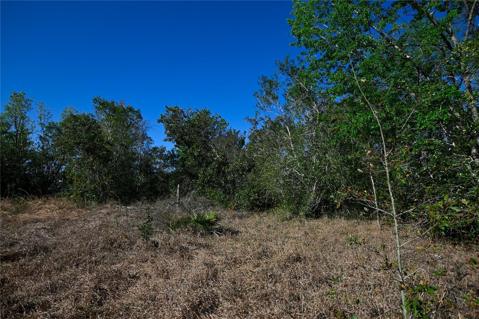 PABLO ISLAND ROAD, GROVELAND, FL, 34736
