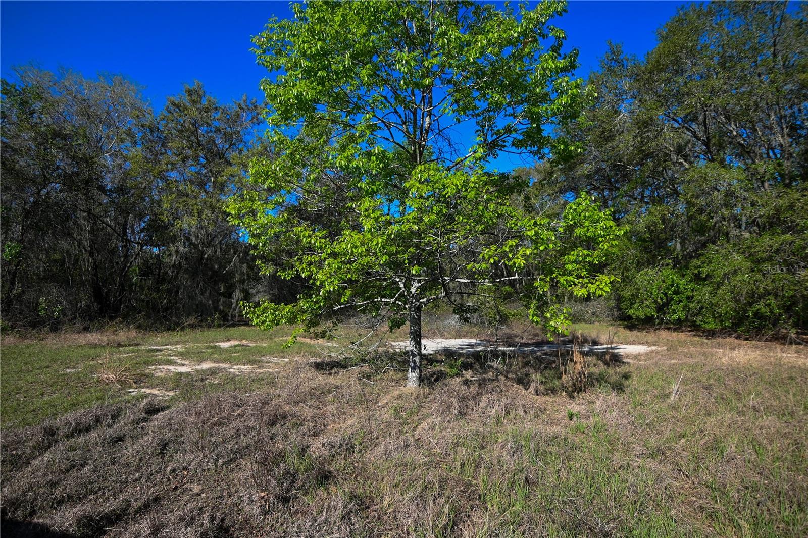 PABLO ISLAND ROAD, GROVELAND, FL, 34736