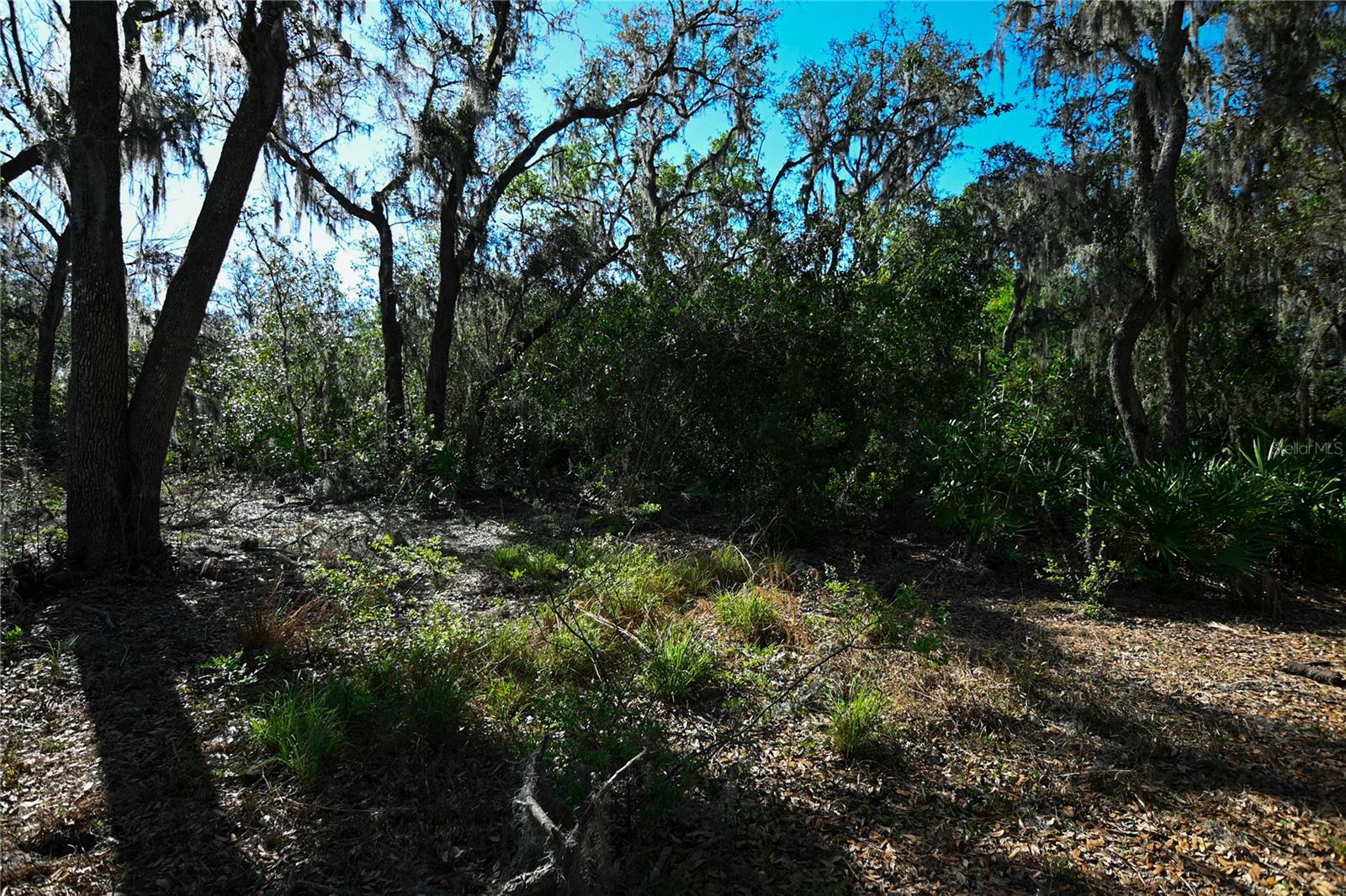 PABLO ISLAND ROAD, GROVELAND, FL, 34736