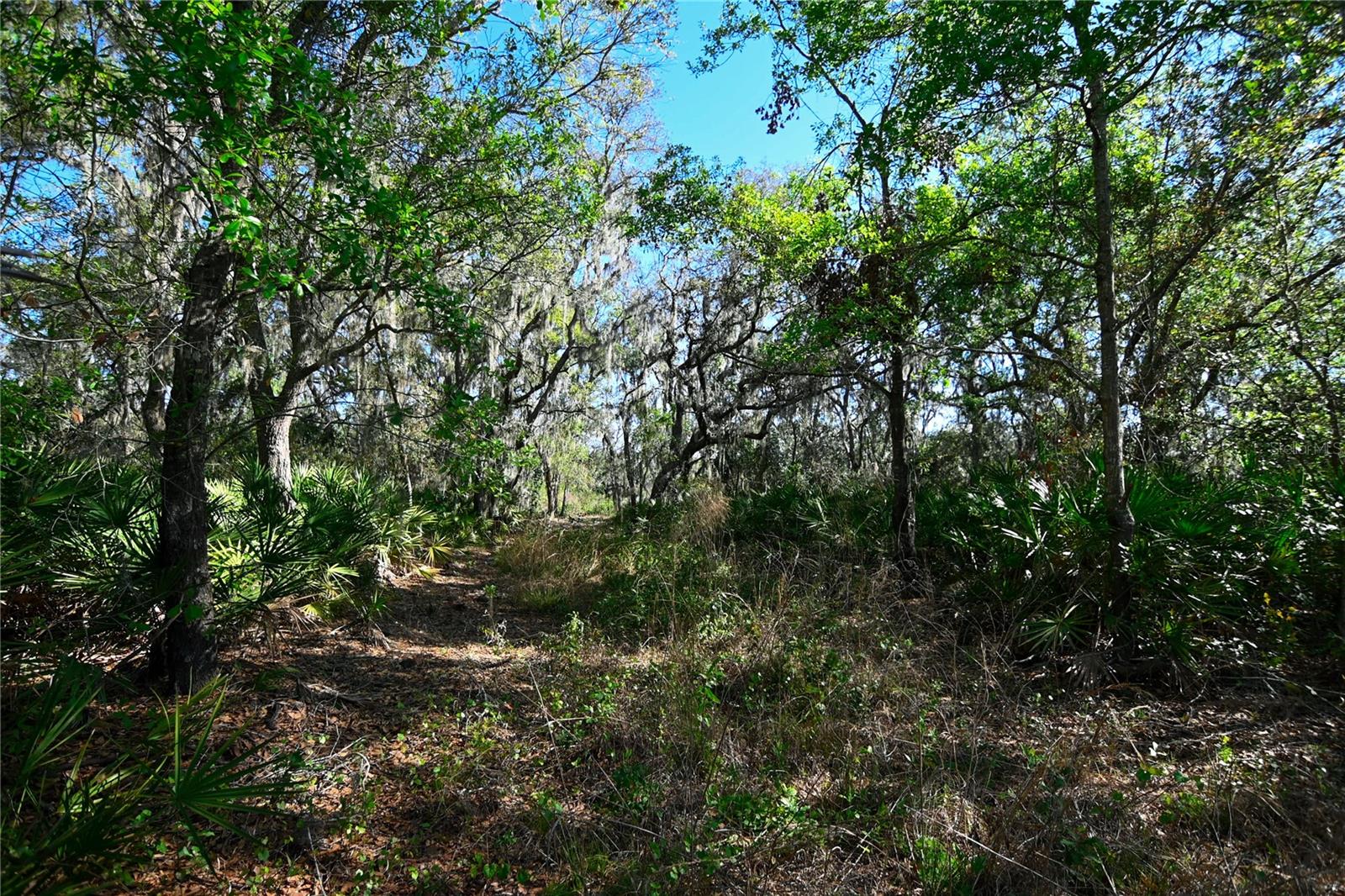 PABLO ISLAND ROAD, GROVELAND, FL, 34736