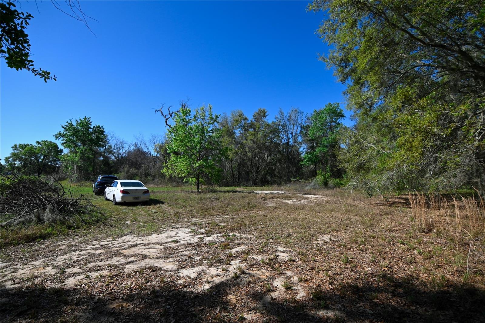 PABLO ISLAND ROAD, GROVELAND, FL, 34736