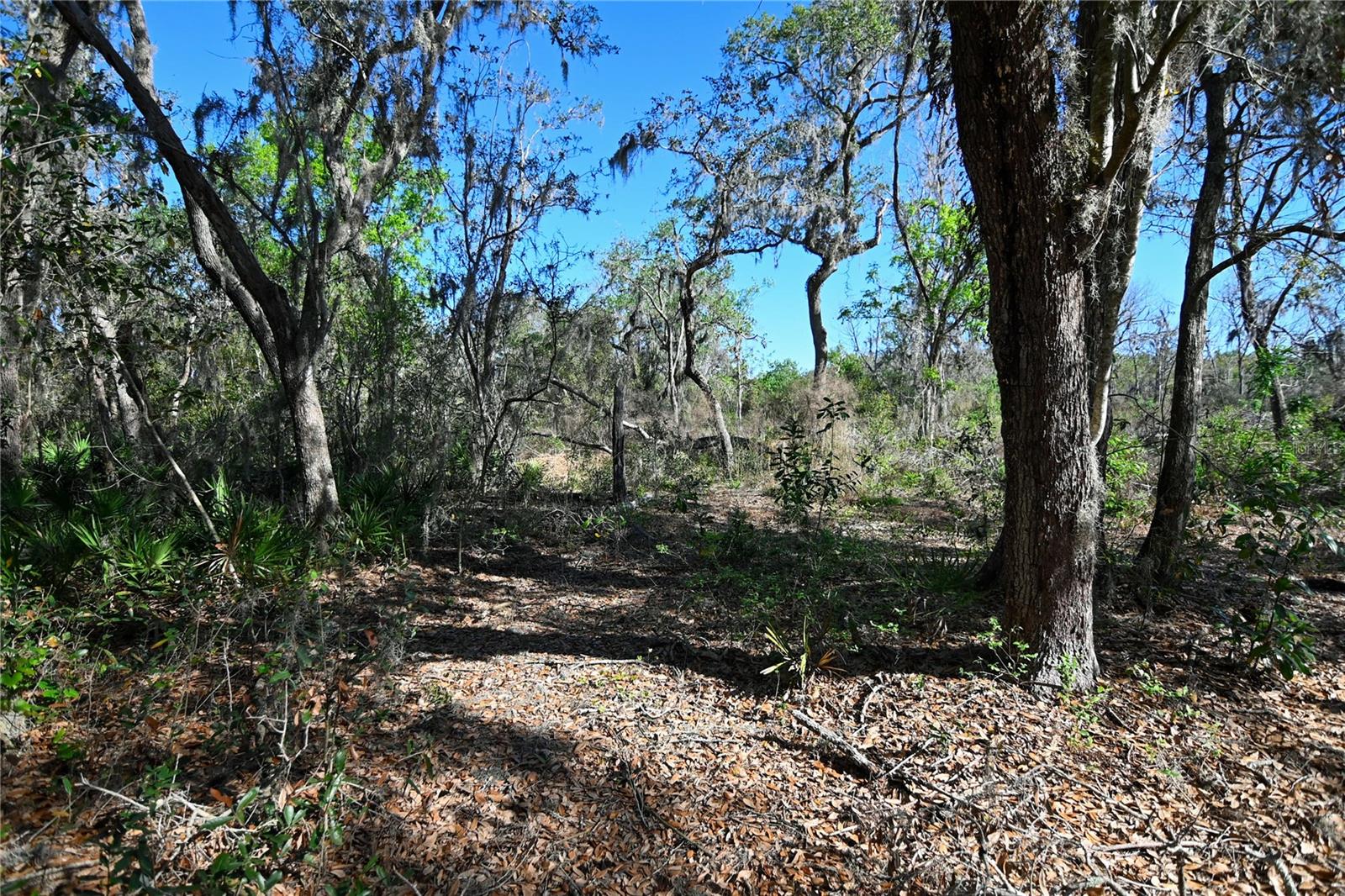 PABLO ISLAND ROAD, GROVELAND, FL, 34736