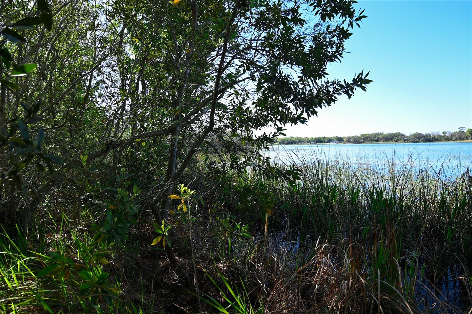 PABLO ISLAND ROAD, GROVELAND, FL, 34736