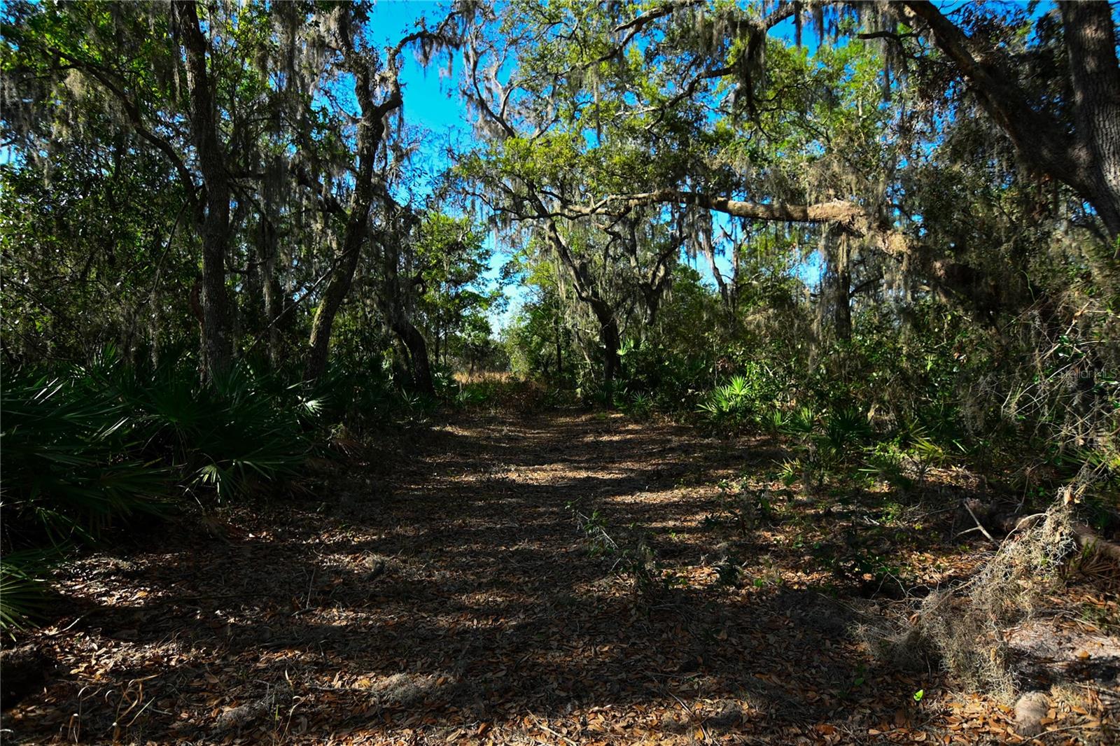 PABLO ISLAND ROAD, GROVELAND, FL, 34736