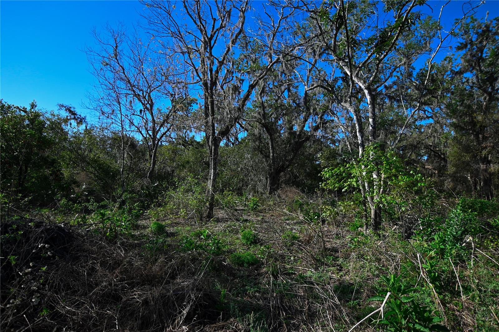 PABLO ISLAND ROAD, GROVELAND, FL, 34736
