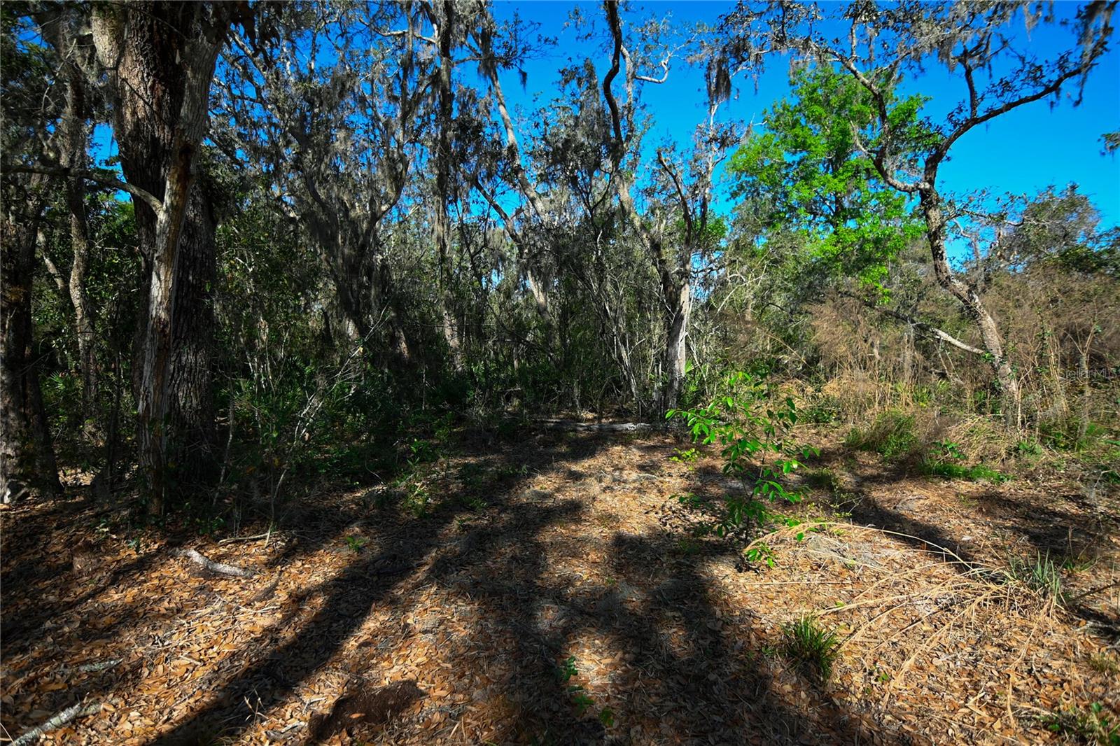 PABLO ISLAND ROAD, GROVELAND, FL, 34736