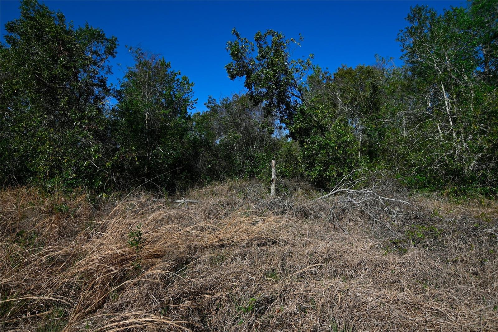PABLO ISLAND ROAD, GROVELAND, FL, 34736