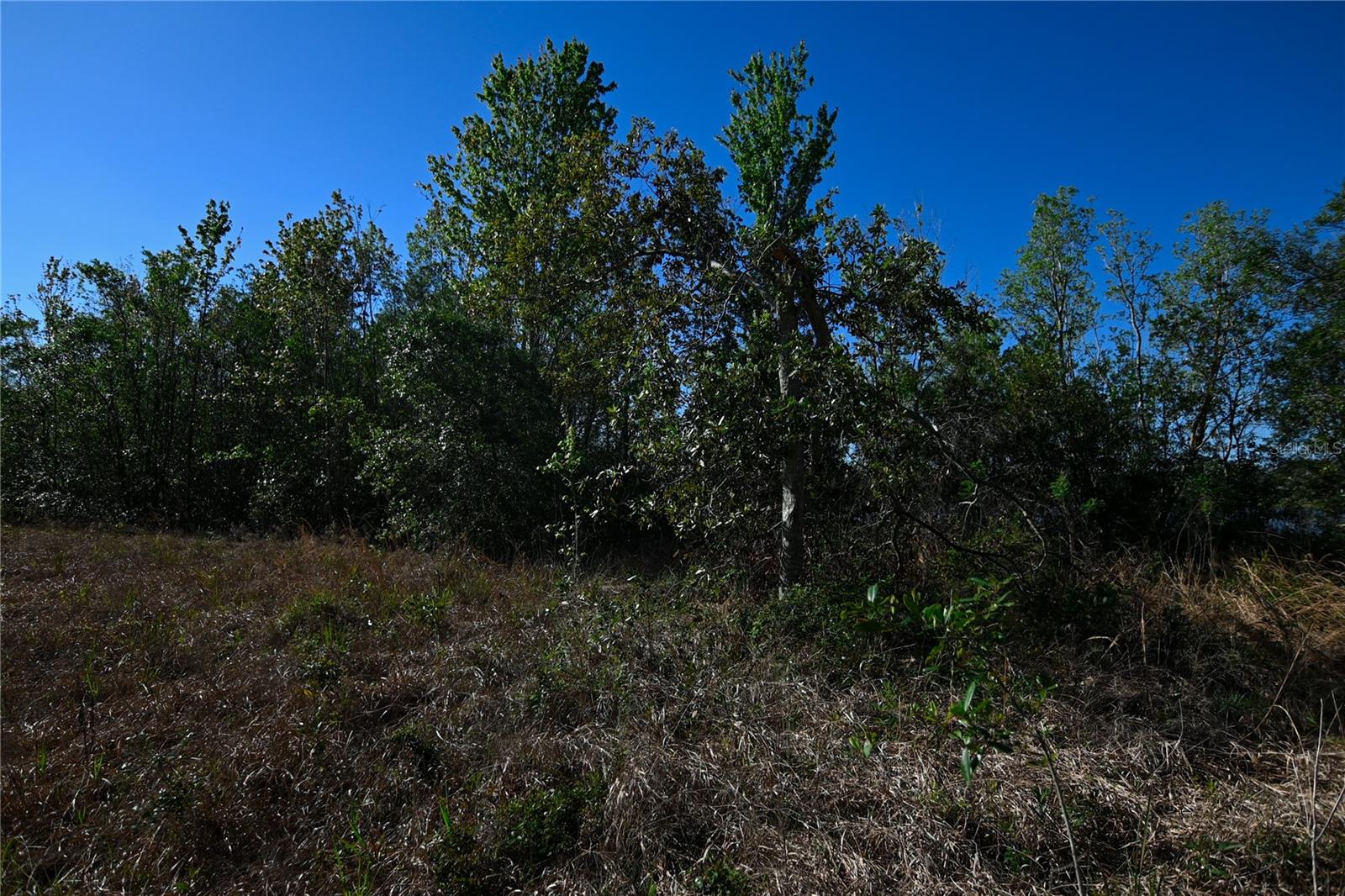 PABLO ISLAND ROAD, GROVELAND, FL, 34736