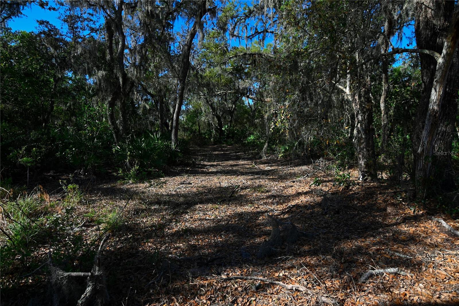 PABLO ISLAND ROAD, GROVELAND, FL, 34736