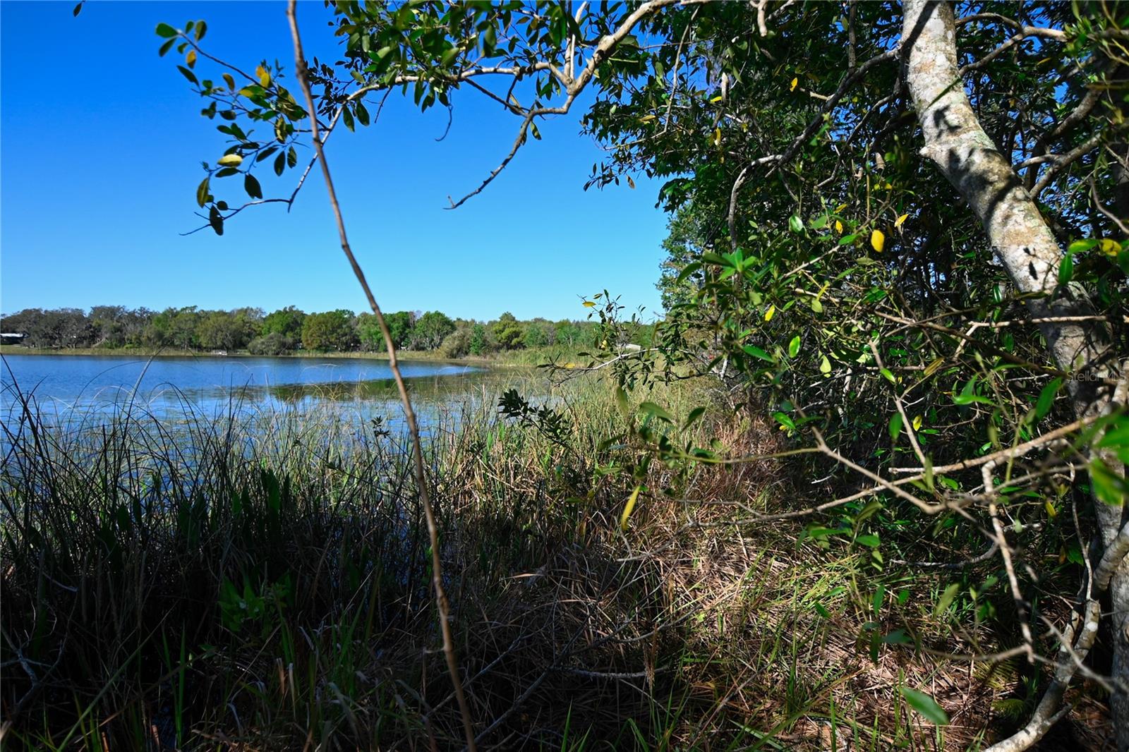 PABLO ISLAND ROAD, GROVELAND, FL, 34736