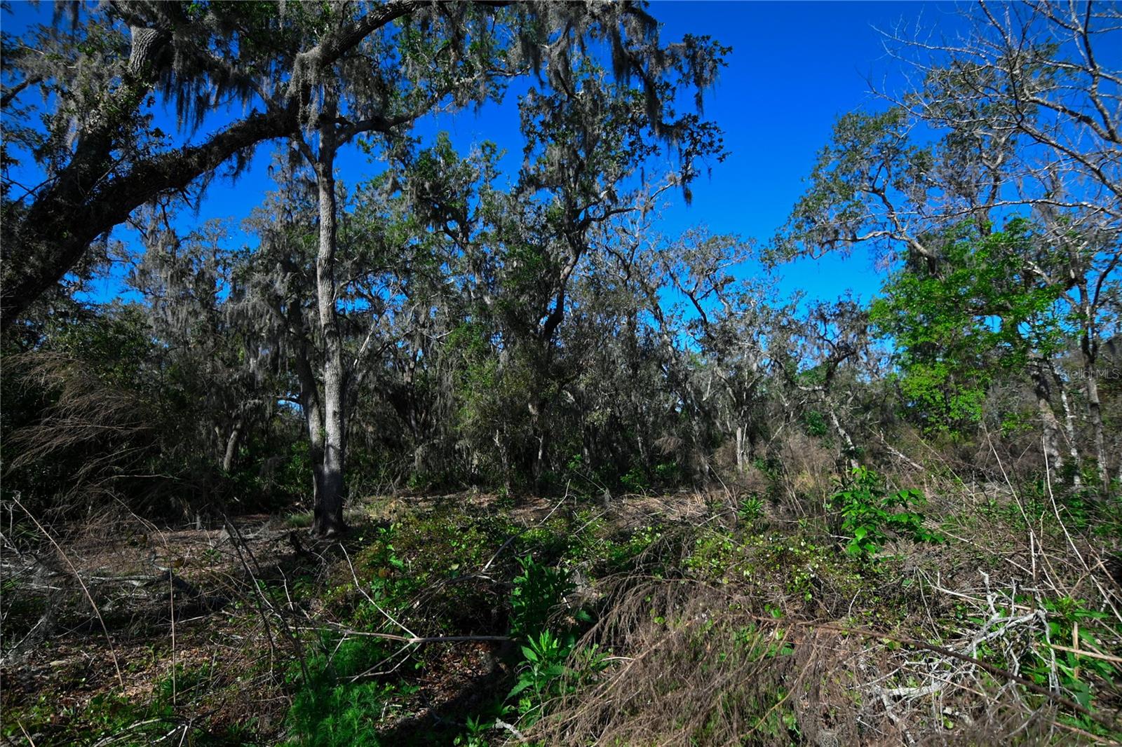 PABLO ISLAND ROAD, GROVELAND, FL, 34736